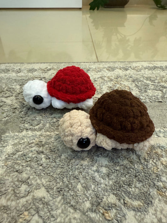 Mini Turtles - Ready to Ship