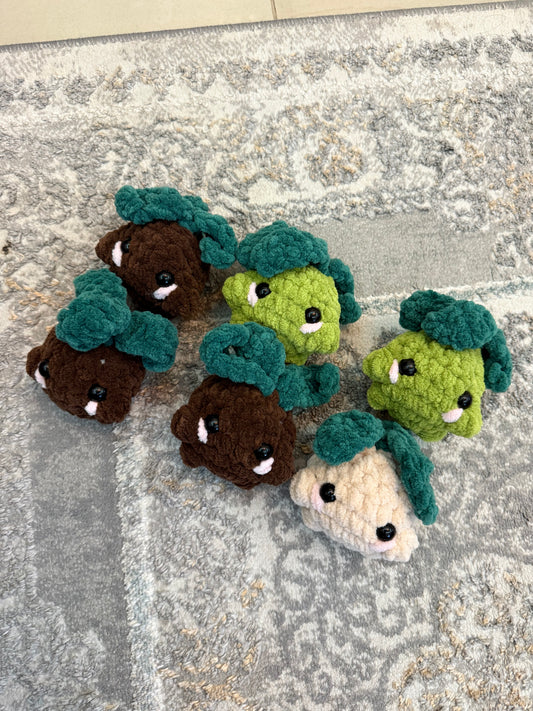 Mini Mandrakes - Ready to Ship